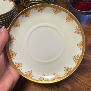 Elegant Gold and White Leaf Pattern Plate